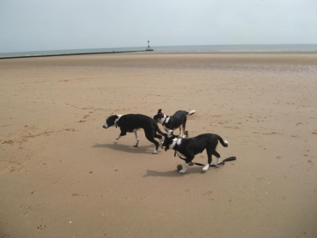 Jasmine Guest House Bridlington Kültér fotó